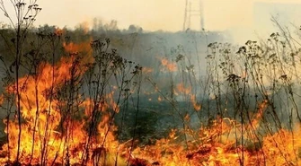 Region: Suche trawy znów płoną