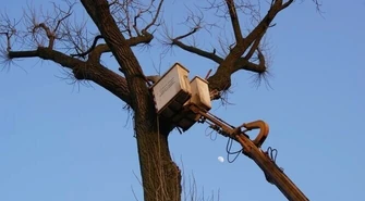 Region: Naprawili bocianom gniazdo