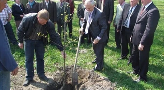 Region: Zasadzili dąb ku czci ofiar katastrofy