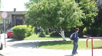 Szkoła: Do toalety bez papieru i mydła?