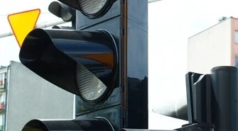 Wieczne czerwone przy bibliotece miejskiej