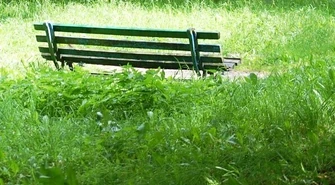 Tereny miejskie staramy się sukcesywnie kosić