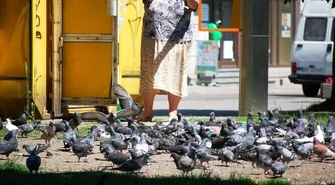 Zakaz dokarmiania uznany przez wojewodę