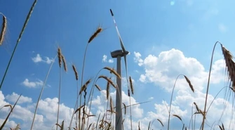 Region: Chętnie sprzedam ziemię pod wiatrak