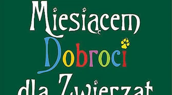 Miesiąc dobroci dla zwierząt w Bibliotece Pedagogicznej