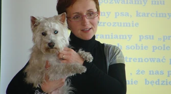 Jak prowadzić mediacje z psem?