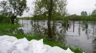 Sulejów: Pilica zostanie pogłębiona i oczyszczona