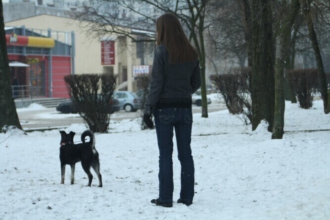 Pieskie kłopoty mieszkańców Piotrkowa