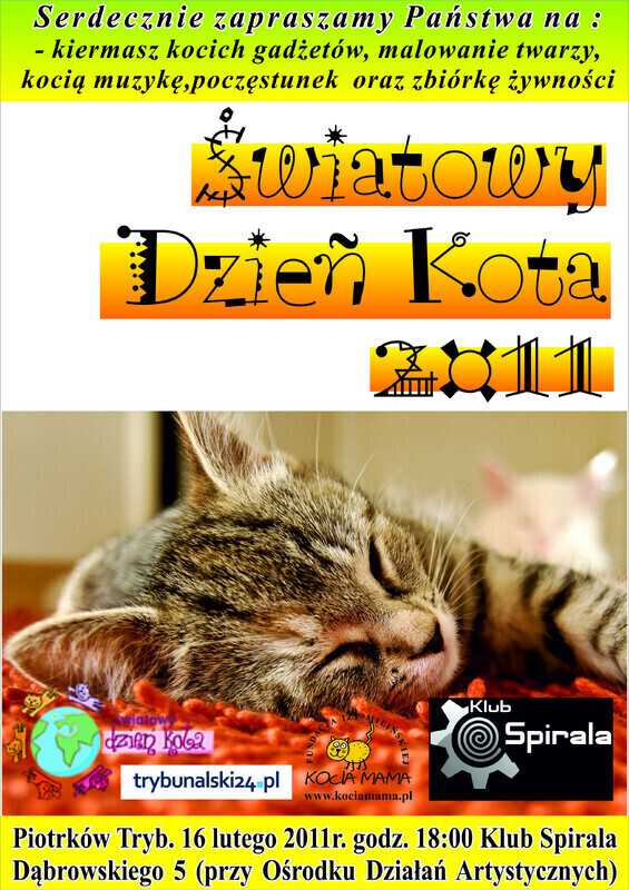 Światowy Dzień Kota w Spirali