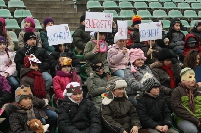 Finał akcji charytatywnej Piotrków dla Zwierzaka