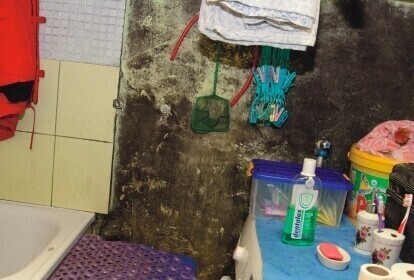 Z wilgocią i grzybem można żyć