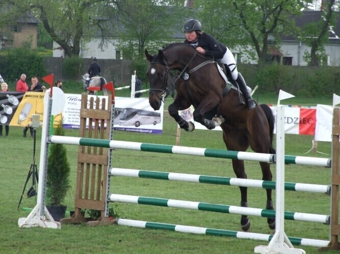 Koński weekend w Bogusławicach