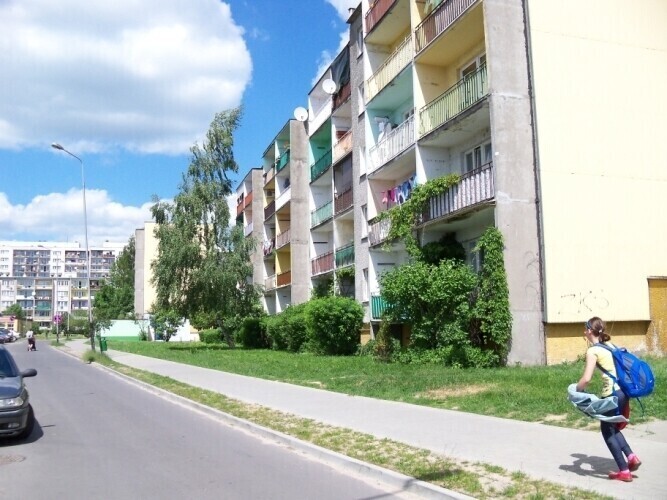 Piotrków Osiedlowe koty zniszczyły mu samochód