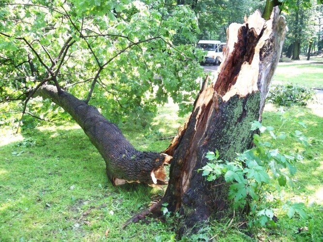 Piotrków Duże zniszczenia po burzy