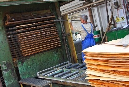 Sklejka Piotrków Ostatni bastion przemysłu