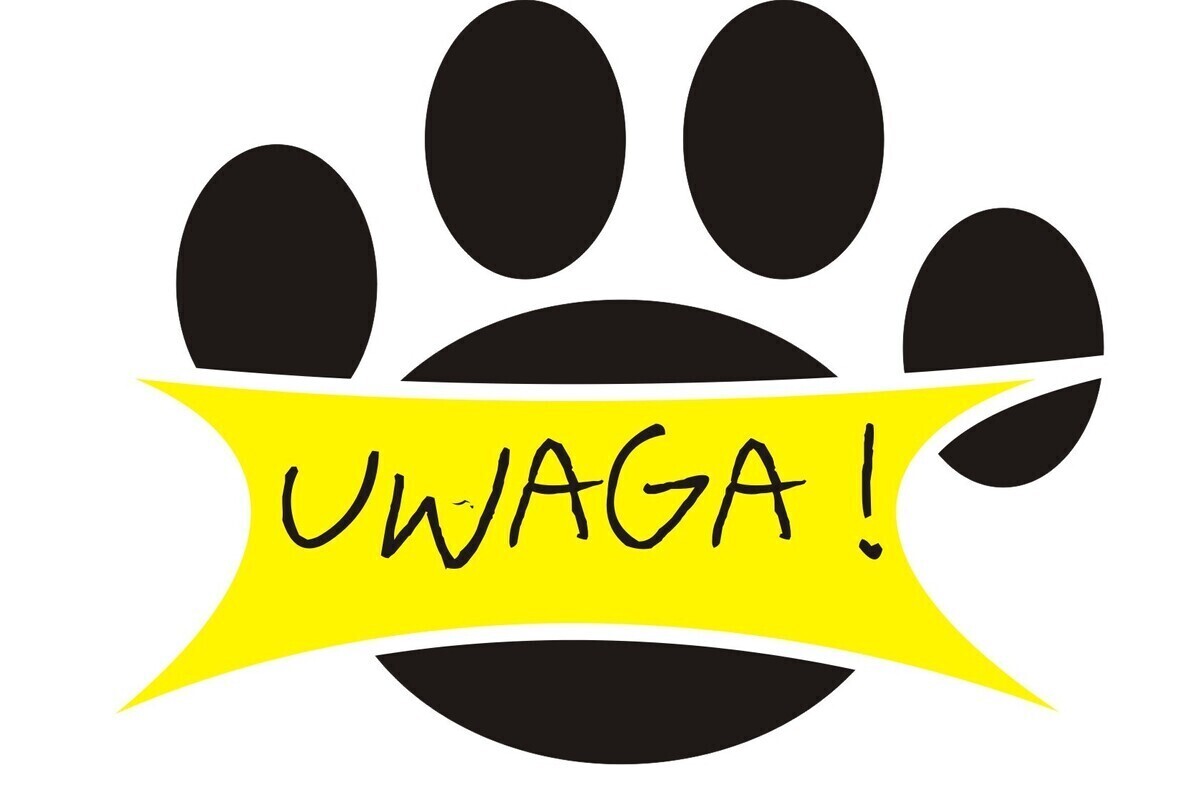 Porzucanie zwierząt przed wakacjami