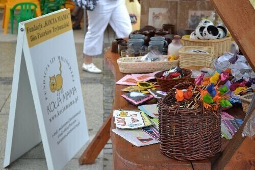 Kot jaki jest każdy widzi