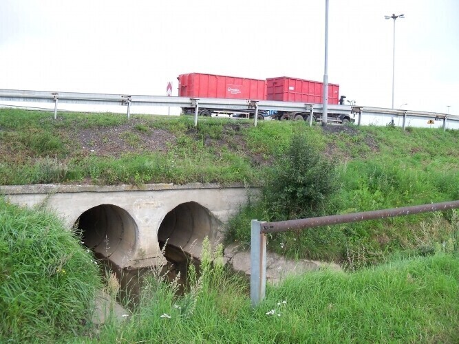 Piotrków Podtapiani mieszkańcy żądają reakcji