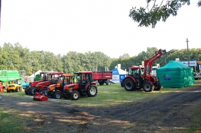 Rolszansa. Wystawcy już prawie gotowi