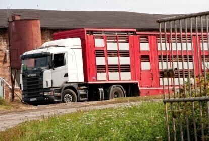 Śmierdzi i śmierdzieć będzie