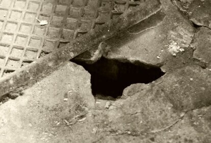 Plaga szczurów na Starym Mieście