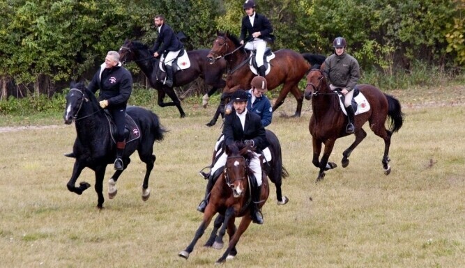 Region W Bogusławicach pogonili lisa