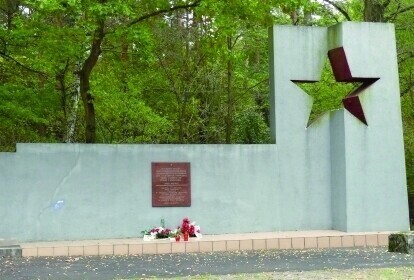 Mogiły w środku lasu