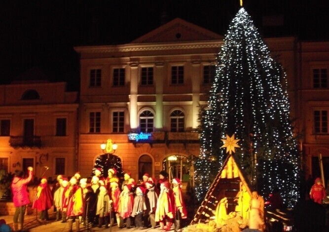 Piotrków Rozbłysła miejska choinka