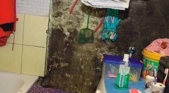 Z wilgocią i grzybem można żyć?