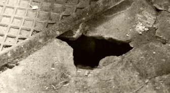 Plaga szczurów na Starym Mieście