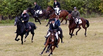 Region: W Bogusławicach pogonili lisa