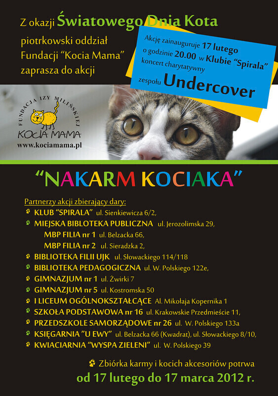 Akcja Nakarm kociaka