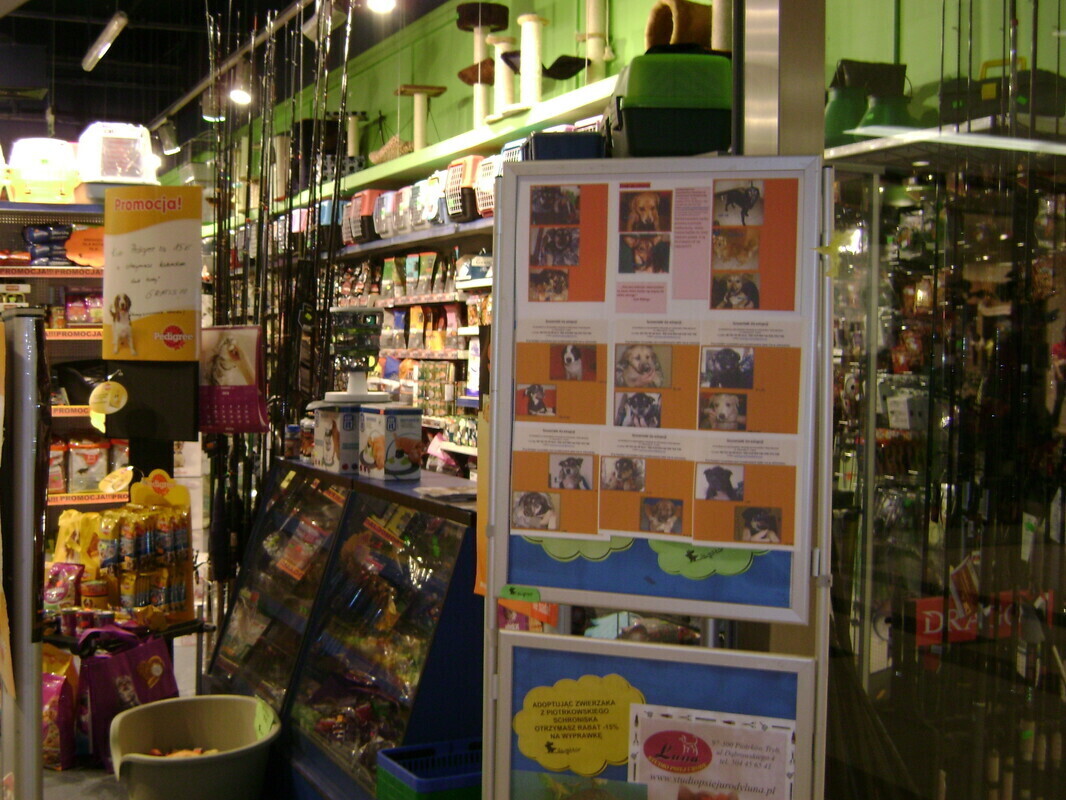 Akcja w Focus Mall Aligator sklep zoologiczny Zaadoptuj szczeniaczka