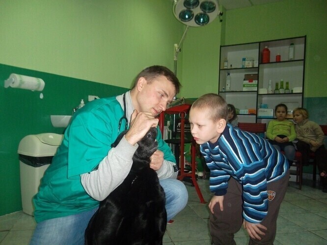 Wyleczyli kotkę i labradora