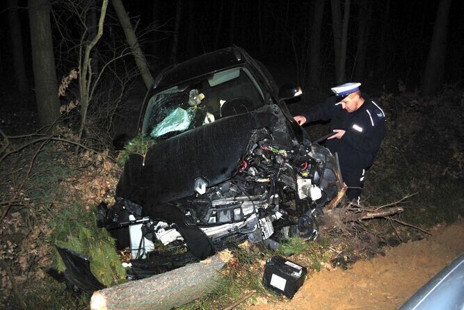 Samochód uderzył w drzewo - ranny 8-latek