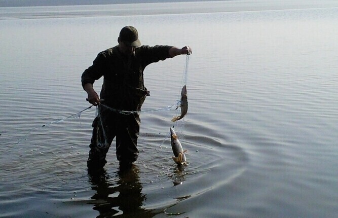 Region Straż Rybacka poluje na kłusowników