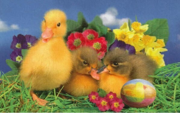 POGODA Wstępna prognoza pogody na weekend.