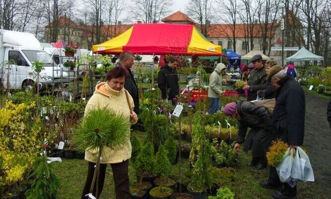 W Targach nie przeszkodził nawet deszcz