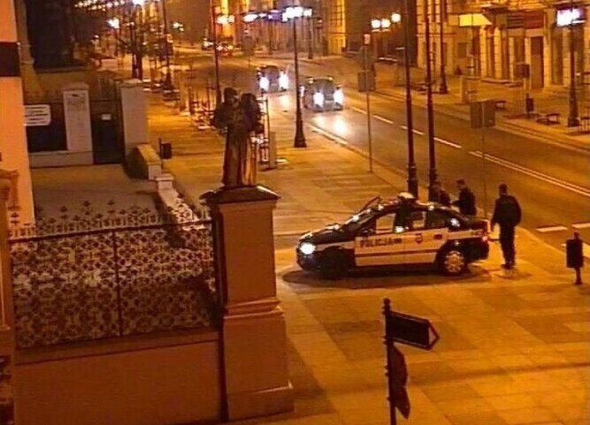 Wyrwał krzaczek - dostał 500 złotych mandatu