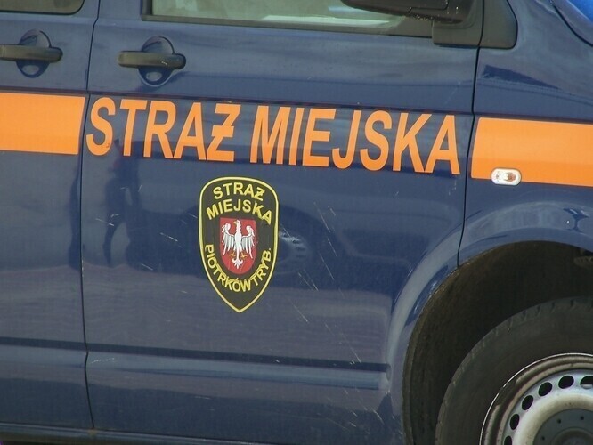 Pojazdy Straży Miejskiej zmieniają barwy