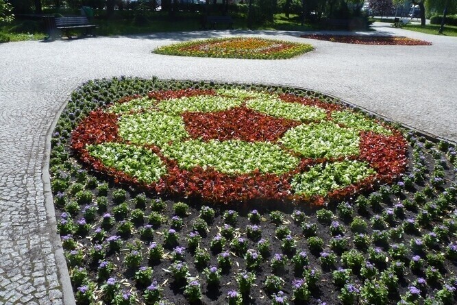 Radomsko Strefa dla kobiet w czasie Euro