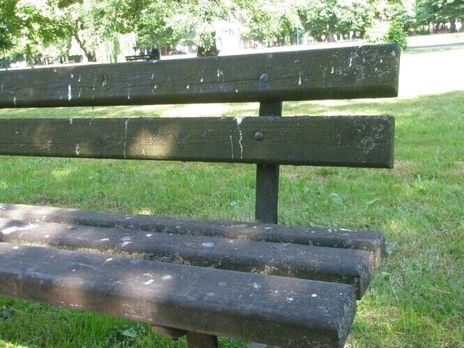 Wreszcie uporządkują park