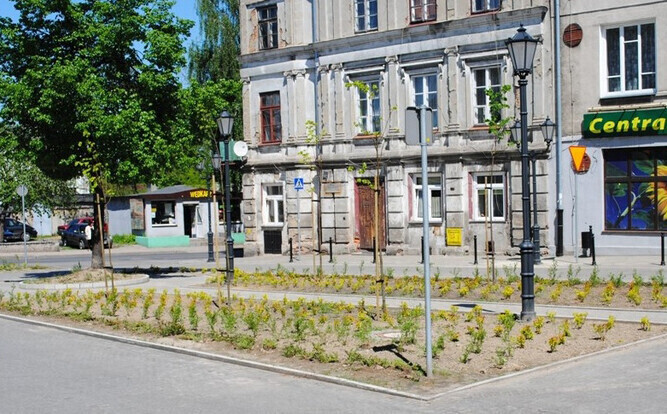 W Piotrkowie mamy coraz więcej zieleni