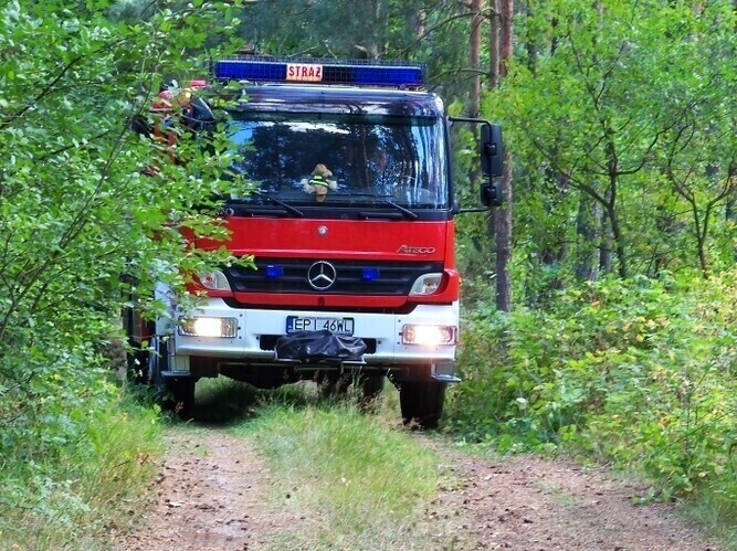 Region W Skotnikach podpalają lasy