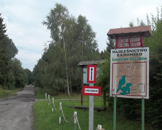 Region Melduj się w lesie w wakacje