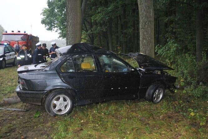 Śmiertelne zderzenie z drzewem