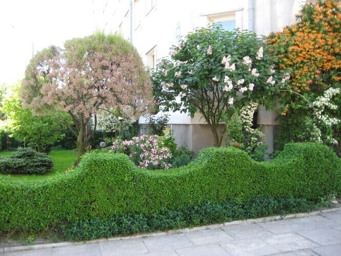 Ogródki przy blokach nie są żadnym problemem