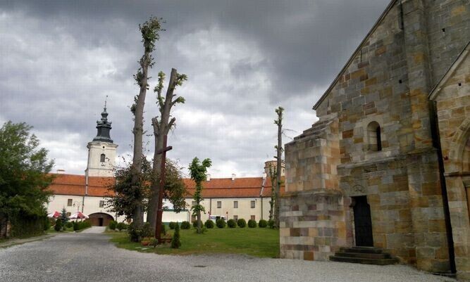 Czy proboszcz odpowie przed sądem za drzewa