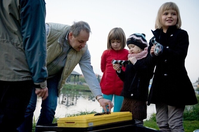 Region W Rakówce zamieszkały raki