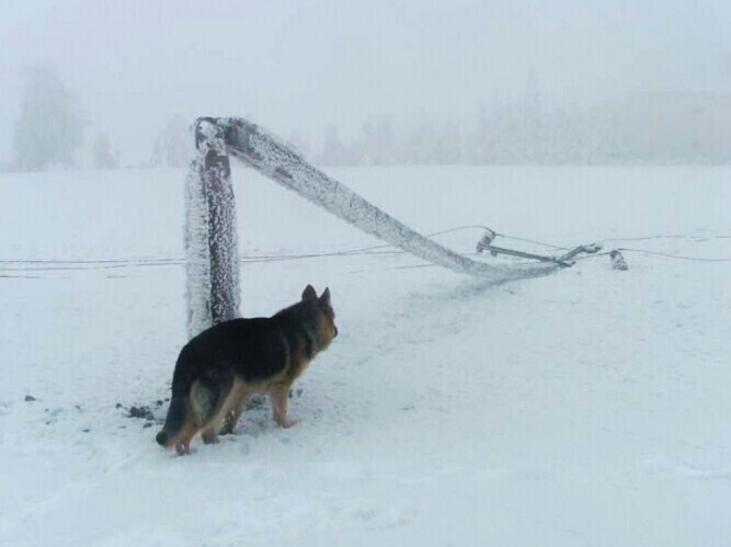 Setki osób bez prądu - usuwają awarie